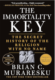 Book Cover of Immortality Key