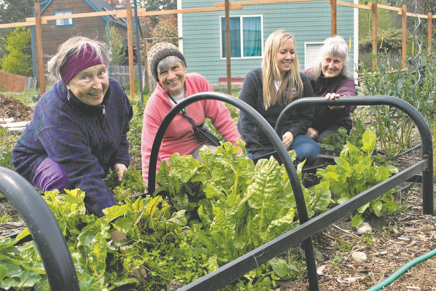 photo of Food Bank Growers